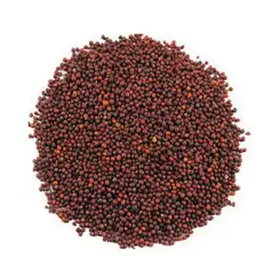 Mustard Seed (Red)  সরিষা বীজ