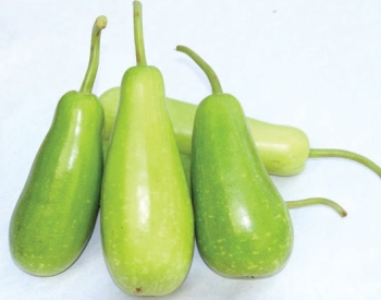 Lau (Bottle Gourd) each