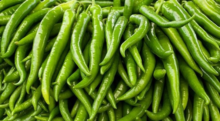 Kacha Morich (Green Chilli)